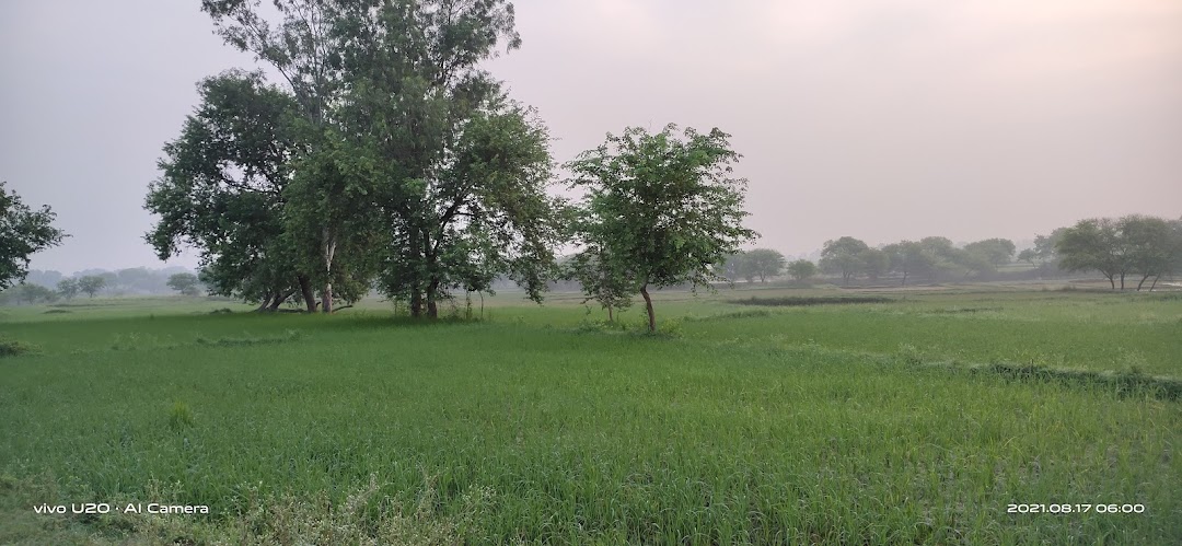 Hefei, Çin