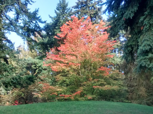 Park «Northacres Park», reviews and photos, 12718 1st Ave NE, Seattle, WA 98125, USA
