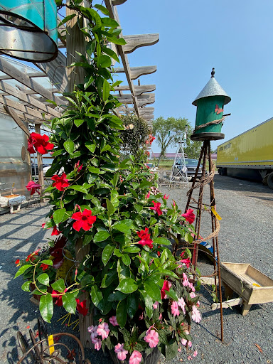 Grocery Store «Country Lane Market & Pantry», reviews and photos, 1642 16th St, Barron, WI 54812, USA