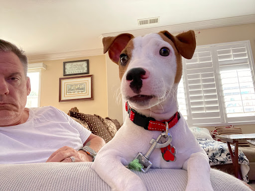 Humane Vet Hospital of San Diego image