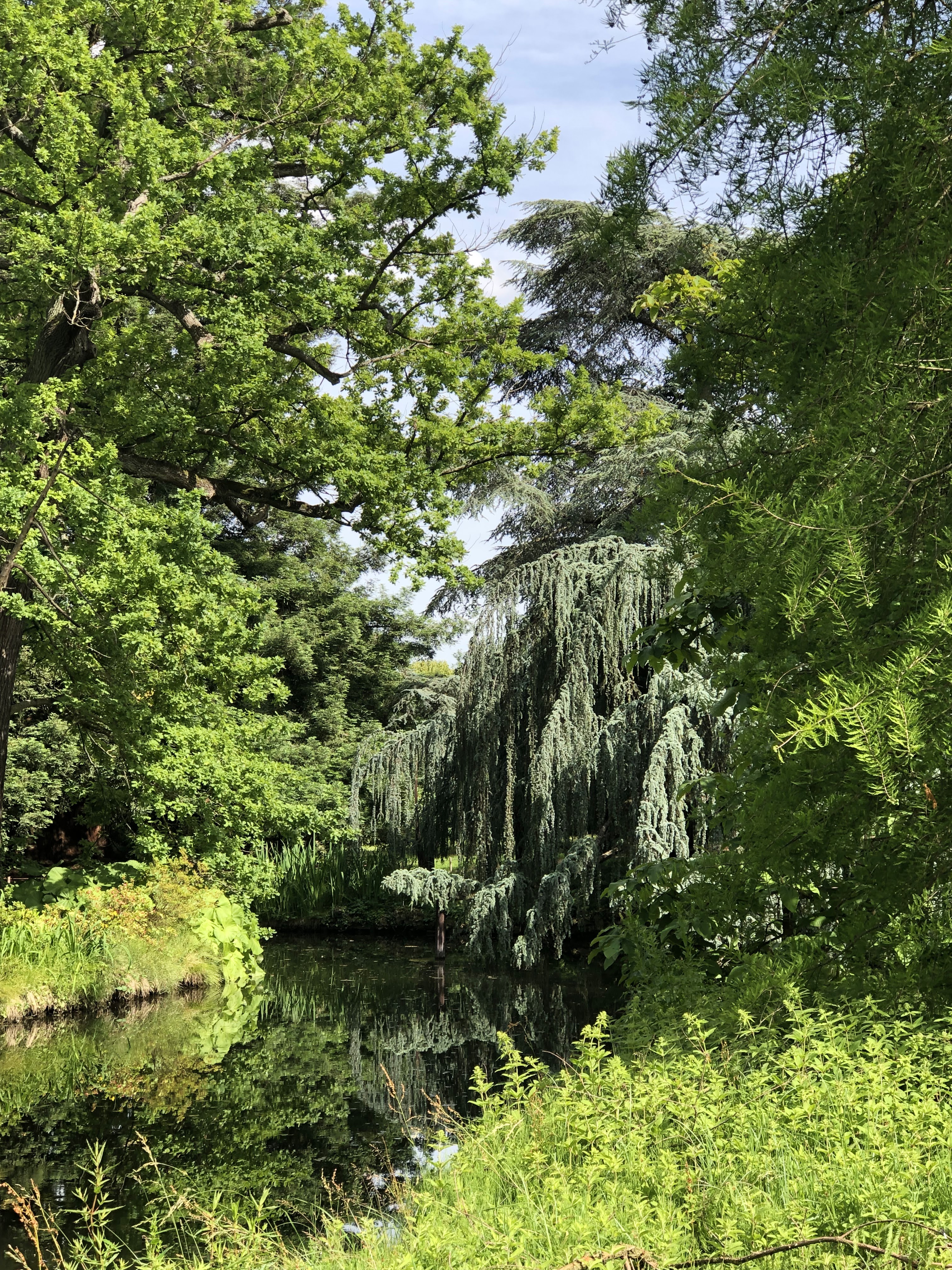Photo n° 18 de l'avis de Denis.u fait le 18/06/2019 à 20:16
