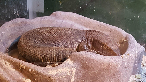 Pet Store «Tanks Pet Supply», reviews and photos, 628 S Main St, Princeton, IL 61356, USA