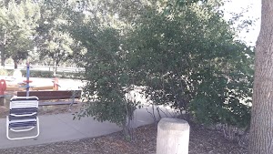 Laurel Oak Aquatic Center - photo 28