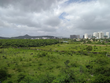 Google Maps image 22