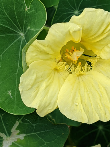 Nature Preserve «Beechwood Farms Nature Reserve», reviews and photos, 614 Dorseyville Rd, Pittsburgh, PA 15238, USA