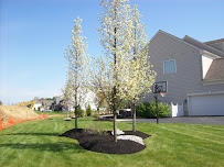 Santini Maintenance LLC - Photo 4 - Car repair in , Trenton