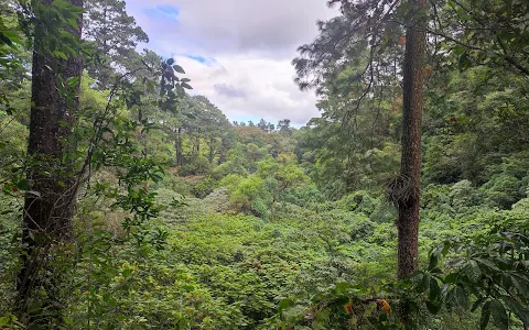 Kanajuyú Ecological Park image
