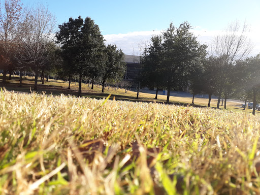 Nature Preserve «Spring Creek Forest Preserve», reviews and photos, 1770 Holford Rd, Garland, TX 75044, USA