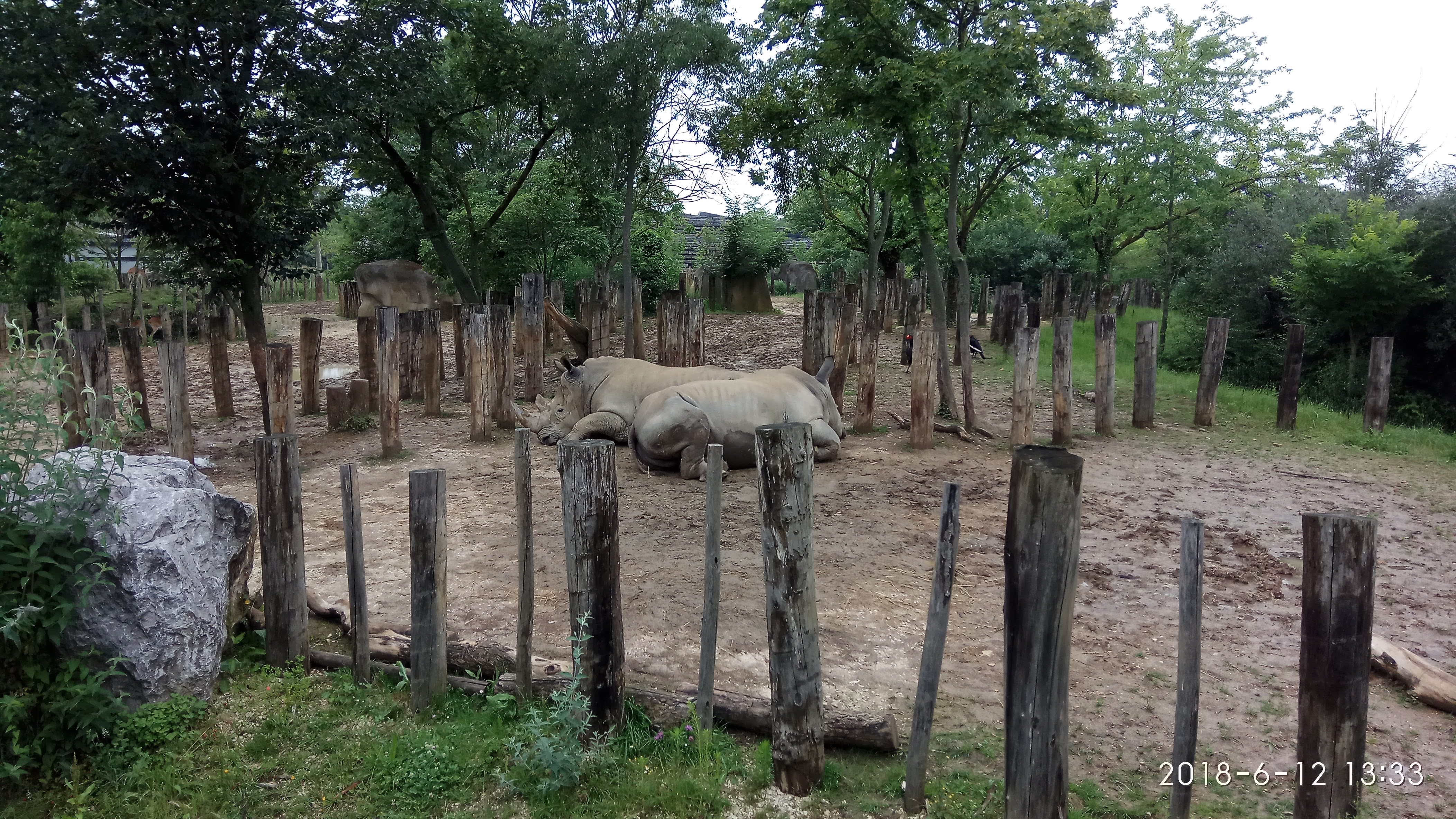Photo n° 19 de l'avis de Swiss.e fait le 15/06/2018 à 19:24
