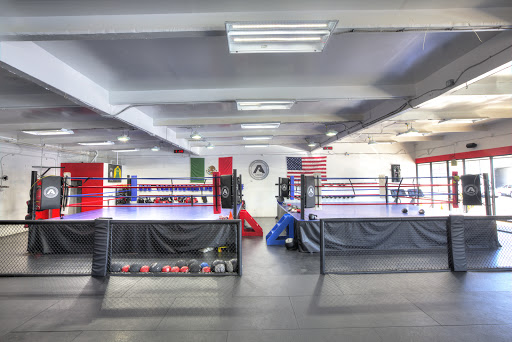 THE ARENA | The San Diego Boxing, Jiu Jitsu, MMA & Muay Thai Gym