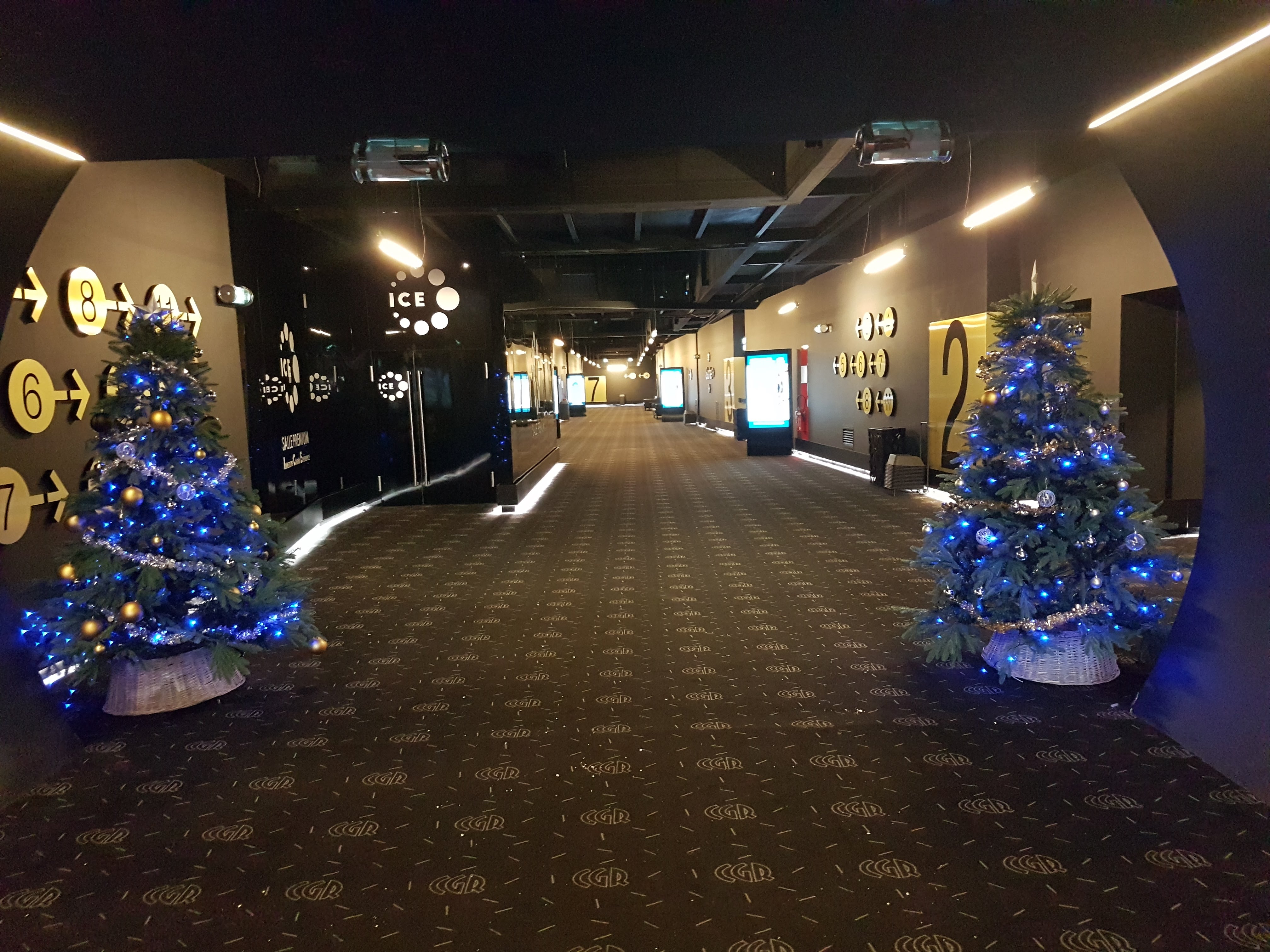 Photo n° 1 de l'avis de Bari. fait le 29/12/2017 à 21:24