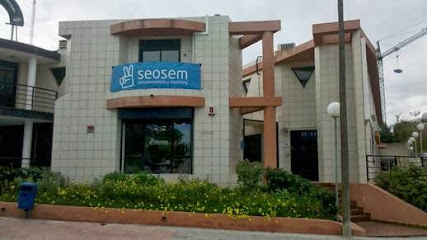 Información y opiniones sobre SEOSEM ® – Posicionamiento en Buscadores de Alicante (Alacant)