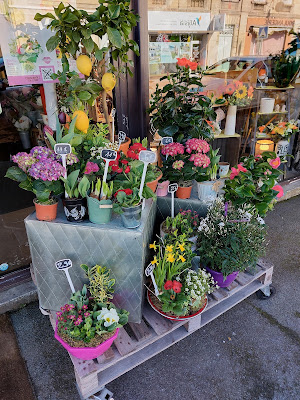 Ô Fleurs Chics d'Antan à Saint-André-de-Cubzac