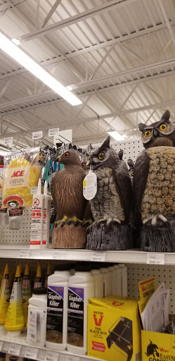 Hardware Store «Owenhouse Ace Hardware West», reviews and photos, 8695 Huffine Ln, Bozeman, MT 59718, USA