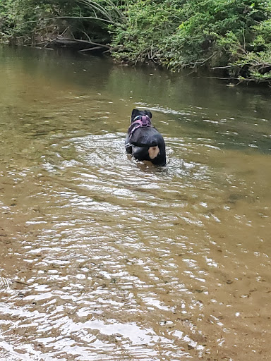 Nature Preserve «Daniel Johnson Nature Preserve», reviews and photos, 1301 Beech Valley Rd NE, Atlanta, GA 30306, USA