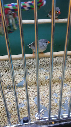 Pet Supply Store «Pet Supplies Plus», reviews and photos, 254 S Illinois Ave, Oak Ridge, TN 37830, USA