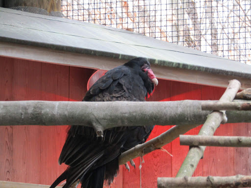 Environmental Organization «VINS Nature Center», reviews and photos, 6565 Woodstock Rd, Quechee, VT 05059, USA