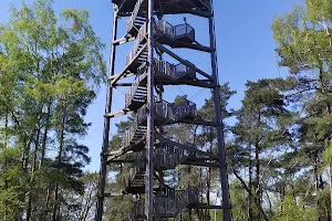 Lookout Tower on the Golden Mount image