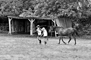 A Horse Tale Rescue/Une Histoire de Chevaux image