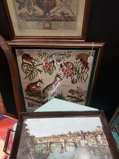 Thrift Store «Second Chances Thrift Store», reviews and photos, 49 Glendale Ave, Asheville, NC 28803, USA