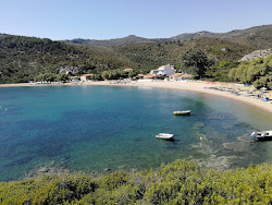 Tarti beach'in fotoğrafı geniş ile birlikte