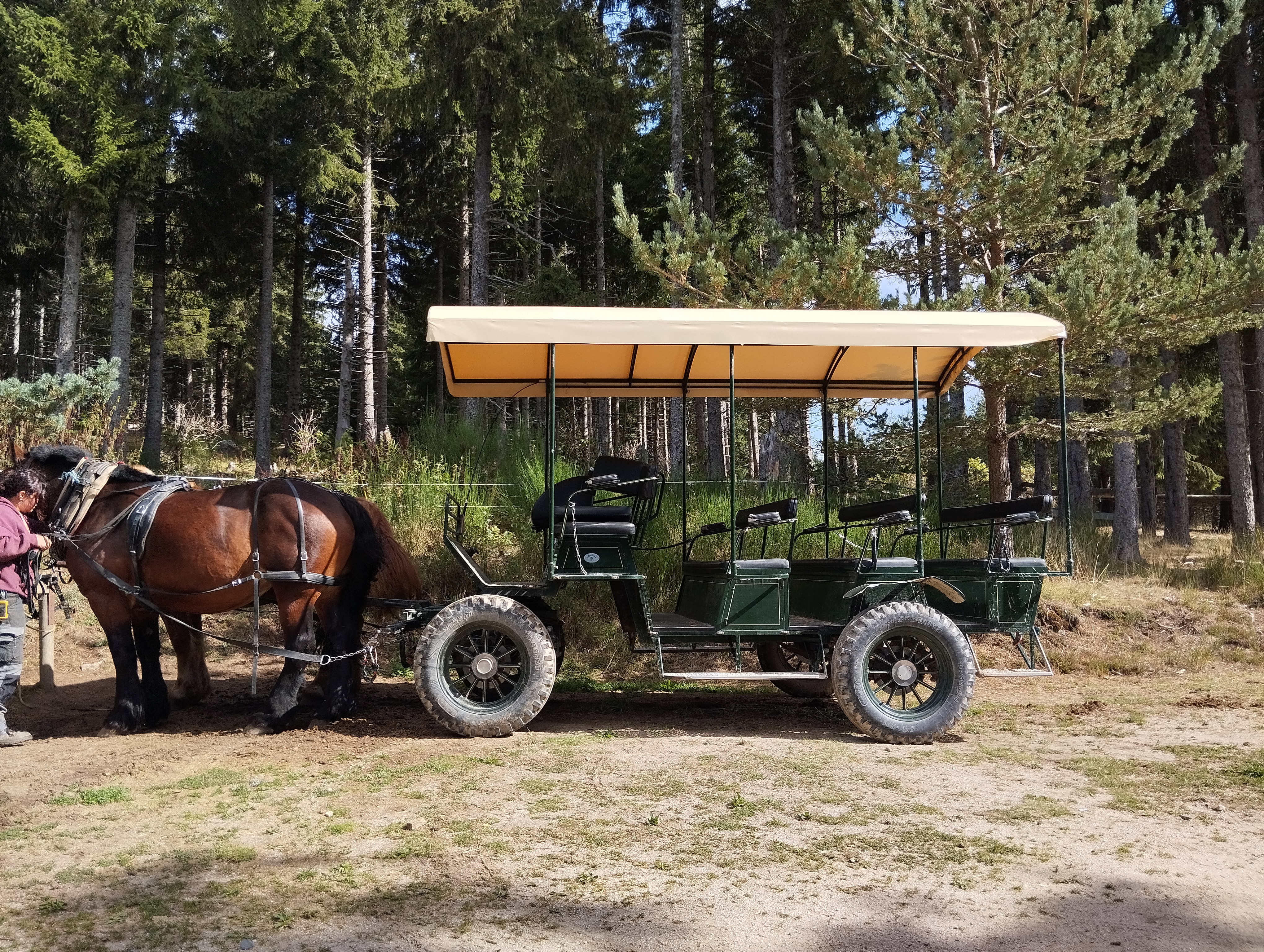 Photo n° 1 de l'avis de Laurie.e fait le 24/09/2023 à 10:44