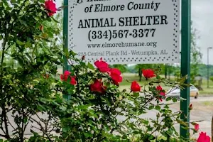 Humane Society of Elmore County image