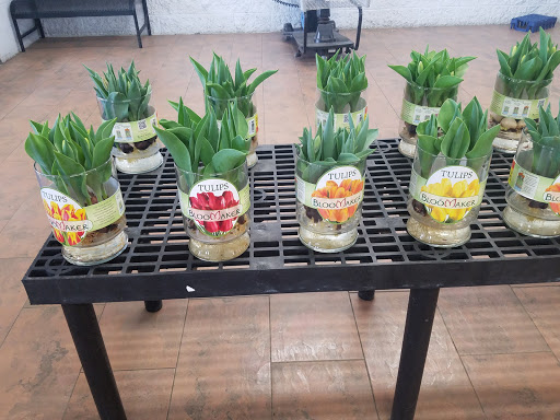 Department Store «Walmart Supercenter», reviews and photos, 2901 Market St, Warren, PA 16365, USA