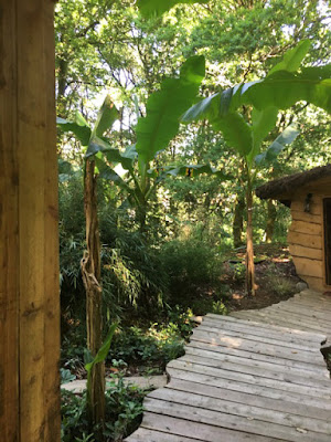 Cabane Hobbit Pachamama à Tarnos