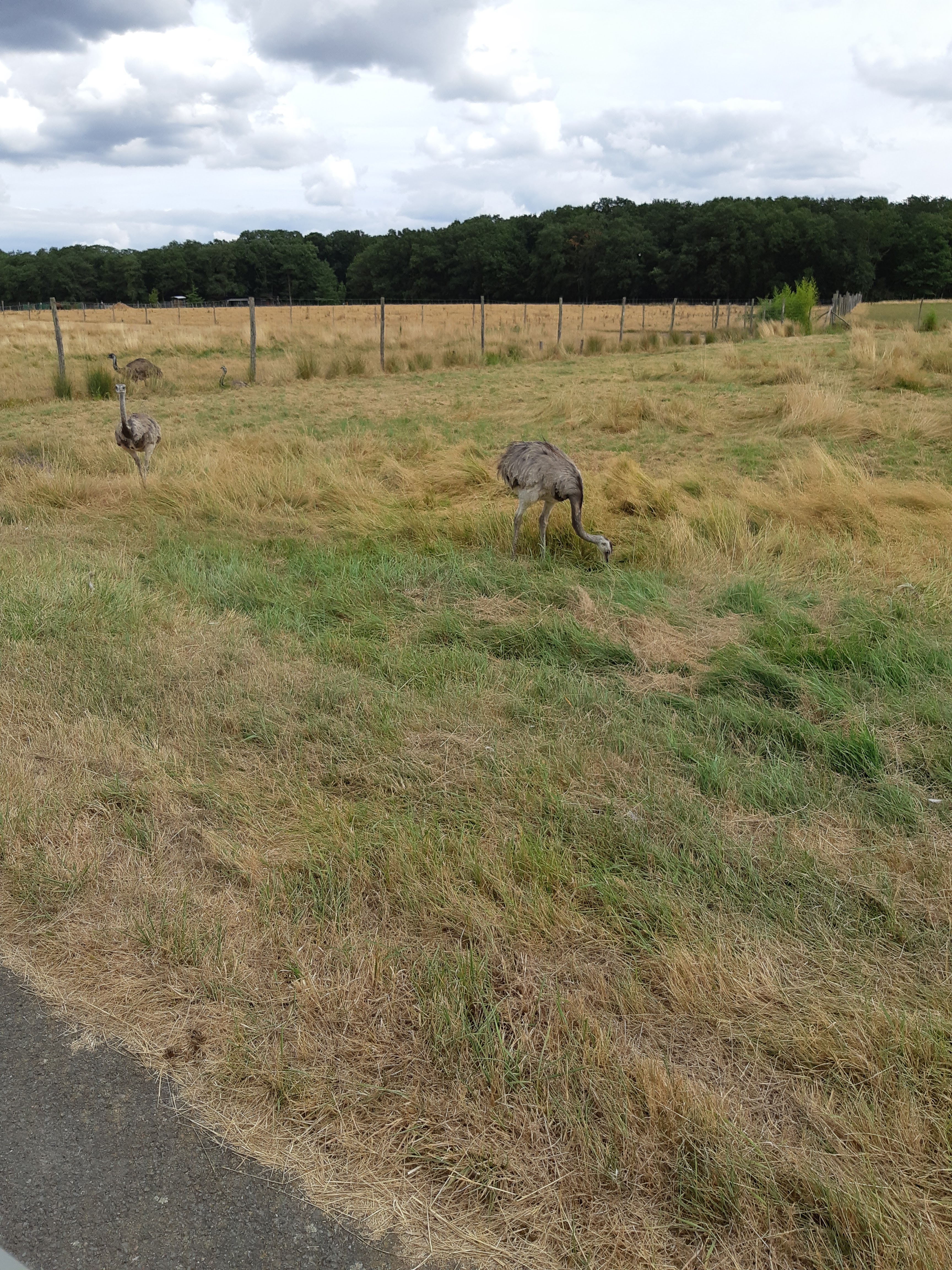 Photo n° 29 de l'avis de Carla.a fait le 10/08/2018 à 15:54