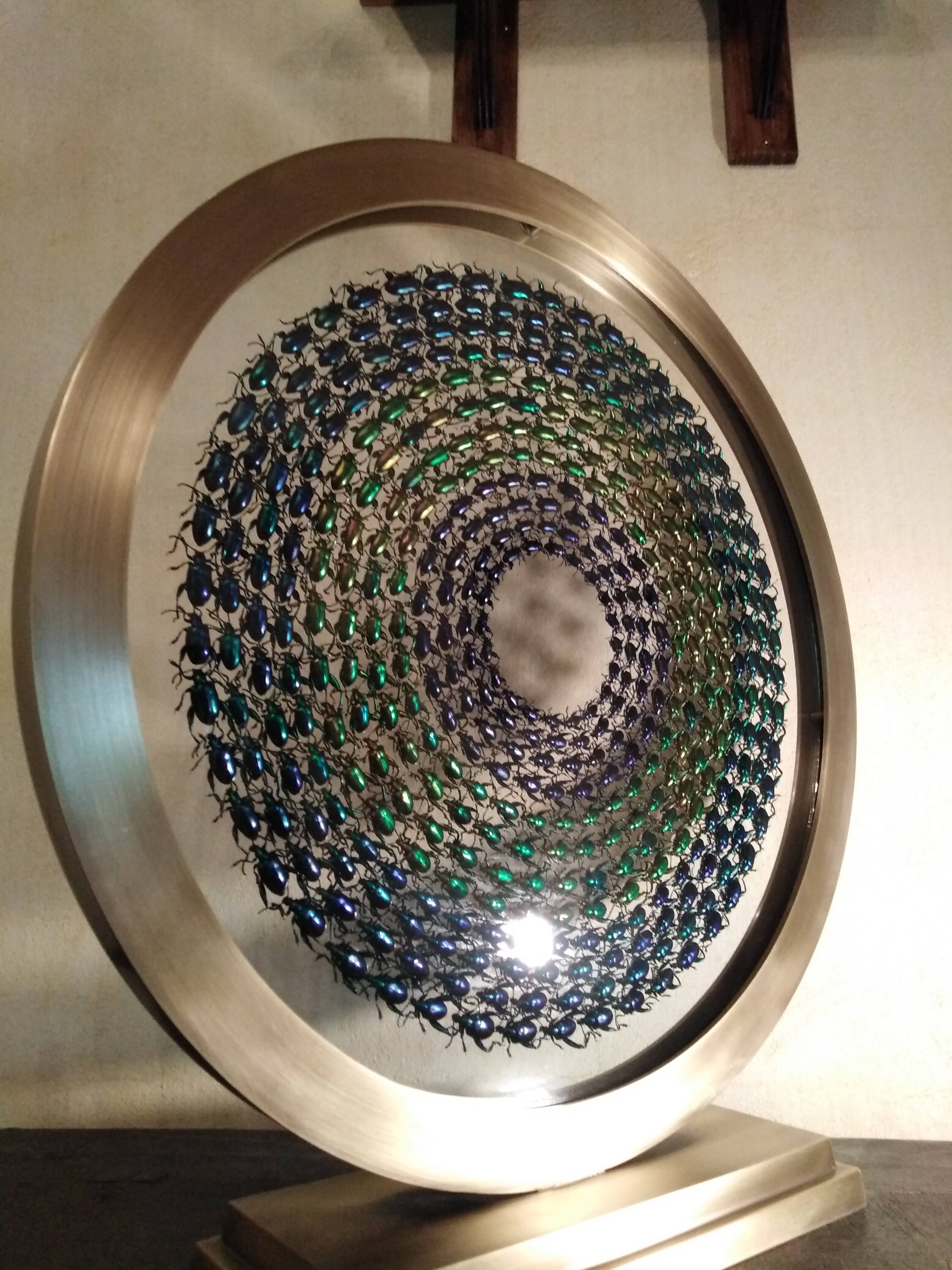 Photo n° 3 de l'avis de Josette.i fait le 07/06/2019 à 07:16