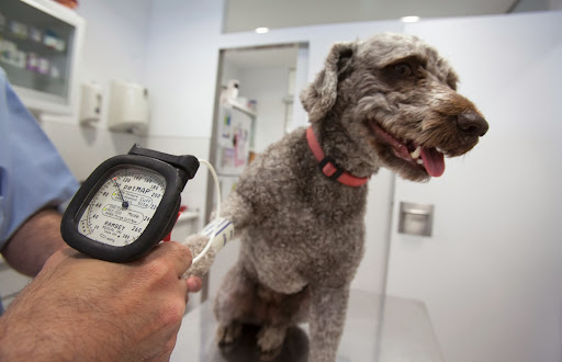 Clínica Veterinaria Cas Catalá en Cas Català