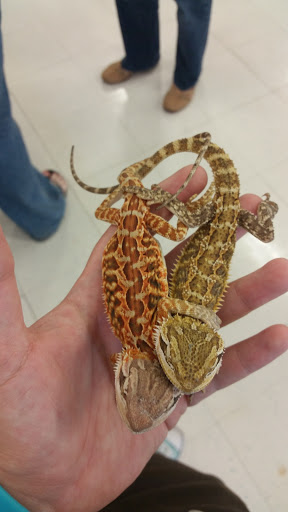 Pet Supply Store «Petco Animal Supplies», reviews and photos, 2277 Ford Pkwy, St Paul, MN 55116, USA