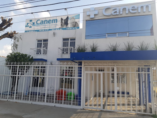 Hospital veterinario Aguascalientes