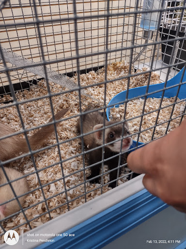 Pet Store «Fins Feathers Paws & Claws», reviews and photos, 436 Main St, Harleysville, PA 19438, USA