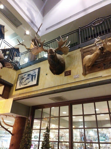 Shopping Mall «Cincinnati Mall», reviews and photos, 600 Cincinnati Mills Dr, Cincinnati, OH 45240, USA