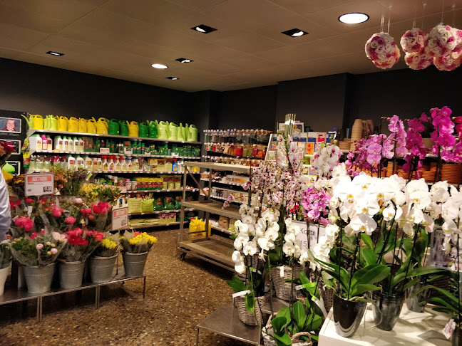 Rezensionen über Migros Florissimo in Zürich - Blumengeschäft
