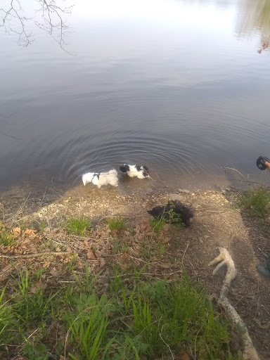 Tourist Attraction «Funky Bones», reviews and photos, 1850 38th St, Indianapolis, IN 46218, USA