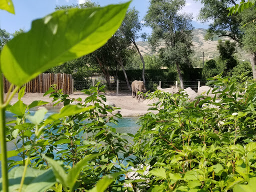 Zoo «Hogle Zoo», reviews and photos, 2600 Sunnyside Ave S, Salt Lake City, UT 84108, USA