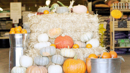 Animal Feed Store «Cerri Family Feed», reviews and photos, 2949 S Airport Way, Stockton, CA 95206, USA