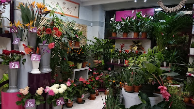 Rapid Flore à Joué-lès-Tours