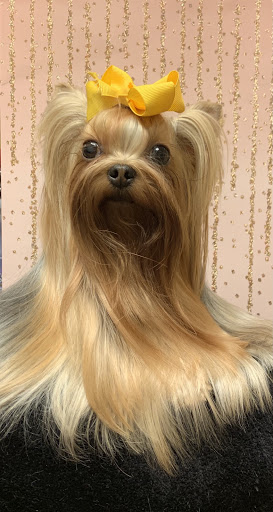 Pet Boarding Service «About Pets Center», reviews and photos, 1604 Conehurst Blvd, Salem, VA 24153, USA