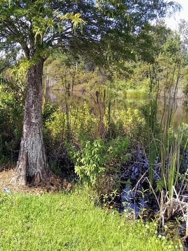 Pet Store «Phillips Feed & Pet Supplies», reviews and photos, 4350 Amberjack Blvd, Plant City, FL 33566, USA