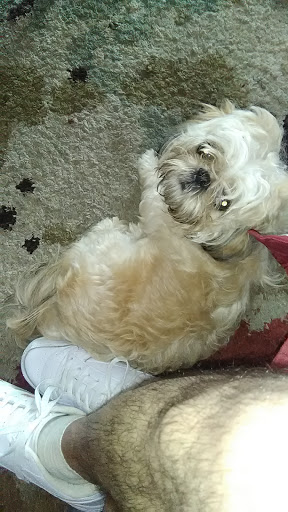 Park «Antonio Maceo Park», reviews and photos, 5135 NW 7th St, Miami, FL 33126, USA