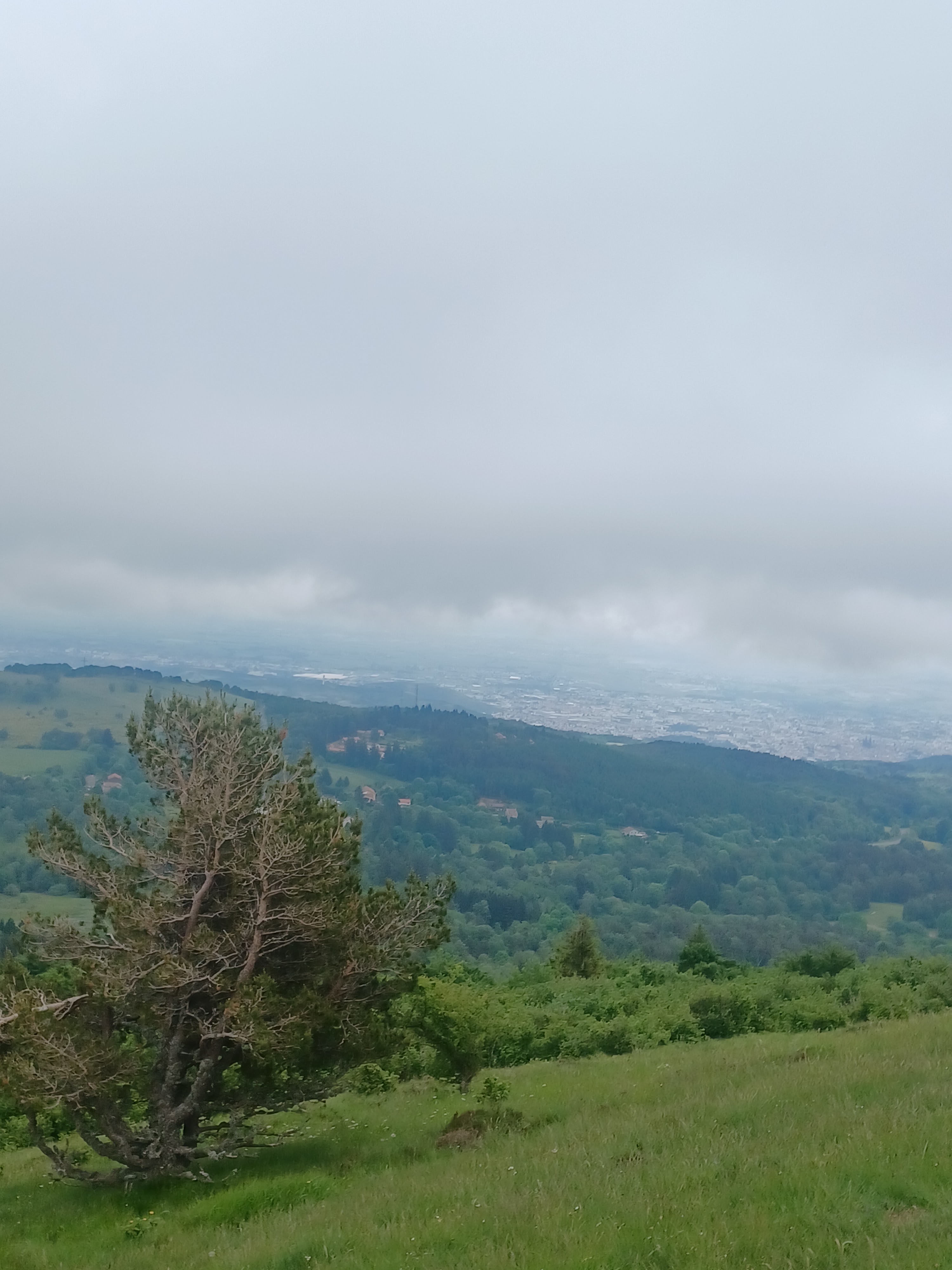 Photo n° 6 de l'avis de Em. fait le 15/06/2022 à 14:05