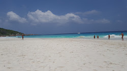 Marianne Island Beach'in fotoğrafı geniş bir kıyı şeridi ile birlikte