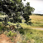 Photo n° 13 de l'avis de Anne.O fait le 29/07/2020 à 08:45 pour Parc Naturel Régional du Golfe du Morbihan à Vannes