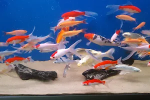 Bish's Fishes image