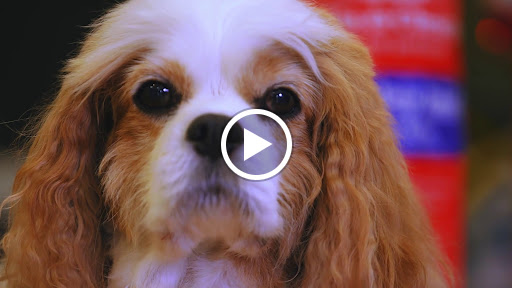 Pet Supply Store «EarthWise Pet Supply & Grooming», reviews and photos, 245 Fries Mill Rd, Blackwood, NJ 08012, USA