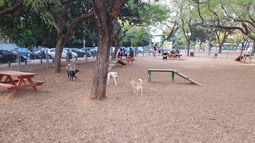 Dog Park, Forest Ramat Aviv